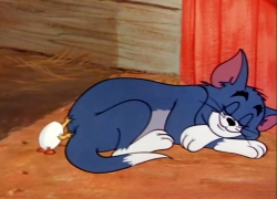 تام و جری (فصل5-قسمت25)